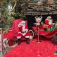 Christmas Wonderland at Dezerland Park Orlando event image