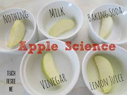 Egg dyes and food coloring require an acidic environment to form bonds. Apple Science Experiment Prevent Browning Teach Beside Me