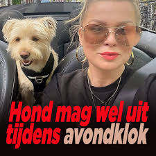 Nederland op weg naar fascisme en dictatuur? Hond Mag Wel Uit Tijdens De Avondklok Ditjes Datjes