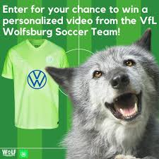 Mai 2001 in die gesellschaft ausgegliedert. Raffle Alert Wolves Stick Wolf Conservation Center Facebook