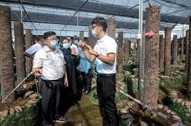 Proton launches take place at the baikonur cosmodrome in kazakhstan while angara is planned to launch from the plesetsk and vostochny. Penang Launches Malaysia S First Vanilla Smart Farm