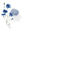 For more information and source,. Frame Ø§Ø·Ø§Ø± Frames Ø§Ø·Ø§Ø±Ø§Øª Sticker By Qalami Design