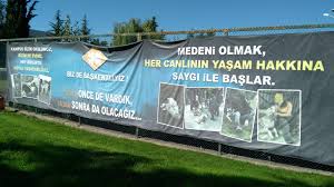 Başkent üniversitesi, education, turkey, başkent, üniversitesi. Baskent Universitesi Pader