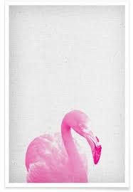 Flamingo 03 Poster