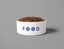 Modern Minimal Dog Bowl Unique Ceramic Dog Food Bowl For Etsy In 2020 Dog Food Bowls Dog Bowls Dog Food Recipes