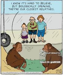 Image result for monkey picture cartoon