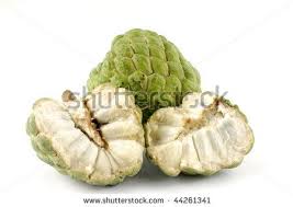 Omg Cherimoya Fruit I Have Been Searching For This For 5 Years Not Knowing The Name After Tasting One In Nicaragua I Must Fin Fruit Cherimoya Fruit Custard