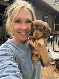 Chocolate & Tan 💙ADOPTED! Avail: Black & Tan 🩷 Chocolate & Cream 💙  Dapple Piebald 💙ADOPTED **Hou-TX Area **please read Adoption  criteria/process/pricing in last 2 pics of the post or you can