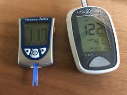 Ketomojo Ketone And Glucose Meter Initial Impression Review