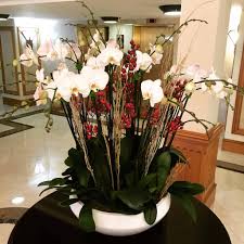 Alternatively you can use the palmbeachflowersshop.com web address. Wholesale Flowers In West Palm Beach Fl Gallery