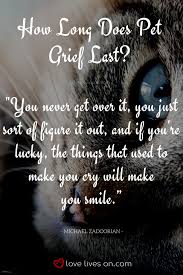 The loss of a pet is traumatic because often the pet gave us unconditional love and acceptance when nobody else did. I Miss My Cat Like Crazy After He Died But Kept My Grief Secret Pet Quotes Dog Death Of A Pet I Miss My Cat