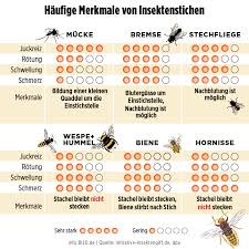 Diese anleitung gibt dir die antworten zum thema. Punktchen Rotung Biss Erkennen Sie Am Stich Was Sie Gestochen Hat Gesundheit Bild De