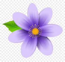 Purple flower white background is a totally free png image with transparent background and its resolution is 1024x1045. Transparent Background Purple Flower Clipart Hd Png Download Vhv