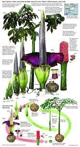 Pin On Nature Outside Things