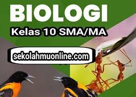 Ekosistem sungai ini termasuk dalam jenis ekosistem air. Soal Pilihan Ganda Jawabannya Biologi Kelas 10 Bab 2 Keanekaragaman Hayati Sekolahmuonline Com Sekolahmuonline