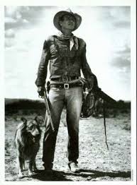 Image result for International Red 1956 Wayne Works