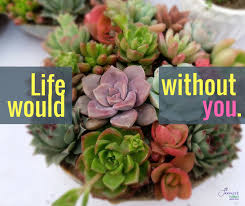 Check spelling or type a new query. Janousek Florist Janousekflorist Twitter