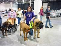 Novi Pet Expo