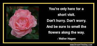 We did not find results for: Receiving Flowers Quotes Quotesgram