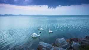 Egy napot nyaralhattak:13 és 17 éves testvérpár fulladt a balatonba. Szornyu Tragedia Tortent A Hetvegen Egy Testverpar Veszett Oda A Balatonban Hellovidek