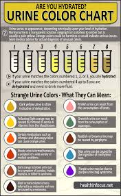 Are You Hydrated Strange Urine Colors And Their Meaning