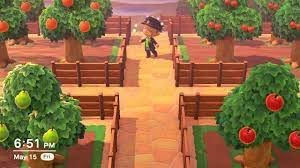 I Know Most Everyone Here Is At 5 Stars But I Just Got To 3 And I M Really Proud Of My Tiny Or Animal Crossing Wild World Animal Crossing Animal Crossing Guide