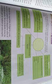 Estamos por lo que este libro geografía 5 grado contestado es muy interesante y vale la pena leerlo. Me Ayudan Y Doy Coronita Es De 5 Grado Pag 67 Brainly Lat