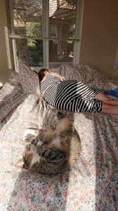 Profile for Lindsey Haskell