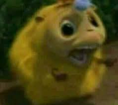 pin by choko crispis on me funny profile pictures funny memes cute animal memes