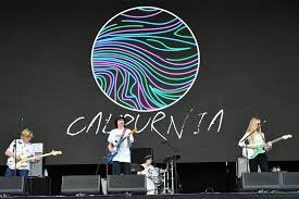 Image result for Calpurnia