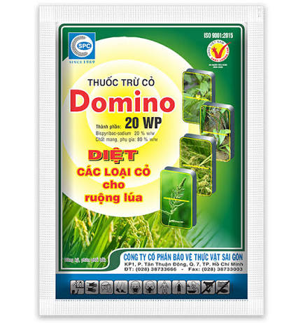 Domino 20WP