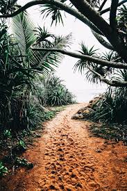 Terror 07 12 1987 M Places To Travel Nature Travel Photography