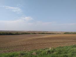 Reguli noi pentru a primi subvenţia pe suprafaţă de la apia. Culturi Vegetale Agrostandard Part 53