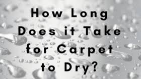 If your carpets are still wet 24 hours after your carpet cleaning, it's time to call back the company that did the work. How Long Does Steam Cleaning Take To Dry Mr Neate Cleaning