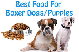 Our rescue works within massachusetts, maine, rhode island, connecticut, and new hampshire. Dog Lovers Know The Best Dog Foods For Boxer Breed Dogs Puppies The Jerusalem Post