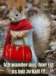 Bildergebnis Fur Gassi Gehen Bei Regen Und Sturm Lustig Pinterest Ausgestopftes Tier Lustige Bilder Witzige Bilder Spruche