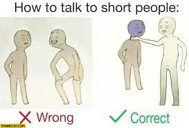 The imgflip watermark helps other people find where the meme was created, so they can make memes too! How To Talk To Short People Explained Wrong Correct Starecat Com