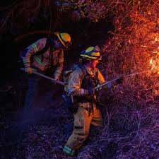 LA firefighters juggle personal loss as ...