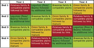 Crop Rotation Chart Crop Rotation Organic Gardening Tips