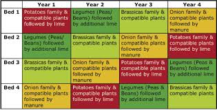 crop rotation chart crop rotation organic gardening tips