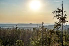 Brdy are hills in the czech republic, forming a long massif stretching for most of the brdy is covered by forest making it one of the largest contiguously forested areas in the interior of the czech republic. Brdy Former Restricted Military Area Czech By Jane
