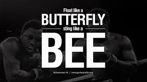 Boxing Quotes Wallpapers Top Free Boxing Quotes Backgrounds Wallpaperaccess 68 download wallpapers with quotes. boxing quotes wallpapers top free