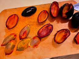 Image result for Pachylobus edulis