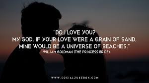 Join us as we embark on a journey to find and actualize the world's greatest tale of true love through this collection of the princess bride quotes. Social Jukebox On Twitter Do I Love You My God If Your Love Were A Grain Of Sand Mine Would Be A Universe Of Beaches William Goldman The Princess Bride Quote