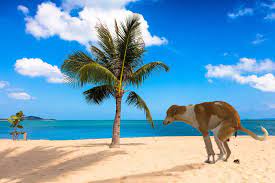 Make the funny and entertaining video meetings. 19 Best Funny Zoom Virtual Backgrounds To Use On Your Next Call Funny Gallery