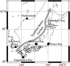 Schematic Chart Showing The Locations Of Karenia Mikimotoi