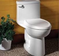 Amazon.com: American Standard 735122-400.020 Cadet - Tapa de inodoro de 10  pulgadas para modelos compactos y de altura correcta, color blanco (17.31  ...