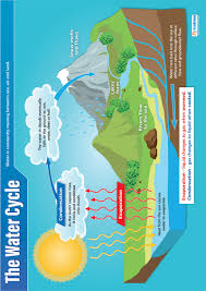 The Water Cycle Poster