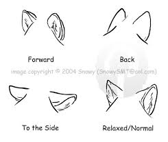 Canines Welcome To The Helpful Tutorials Website Anime Drawings Tutorials Wolf Ears Furry Drawing