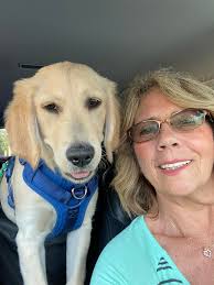 Teaching a dog not to spin in circles and track poop